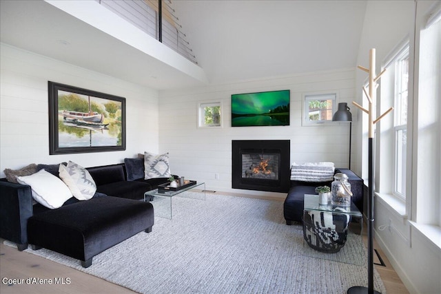 232 Pomrankey Ln, Dover, ID 83825 - living area with lofted ceiling, wood finished floors, and a glass covered fireplace