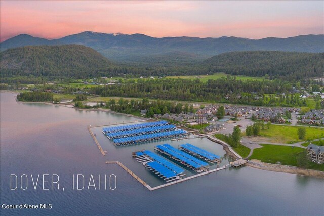 232 Pomrankey Ln, Dover, ID 83825 - aerial view at dusk of a water and mountain view and a view of trees
