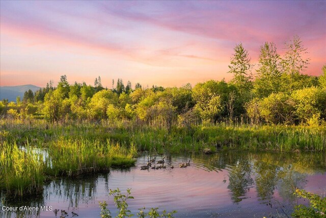232 Pomrankey Ln, Dover, ID 83825 - water view featuring a mountain backdrop