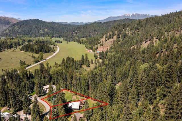 view of property location featuring a heavily wooded area, mountains, and property boundaries highlighted