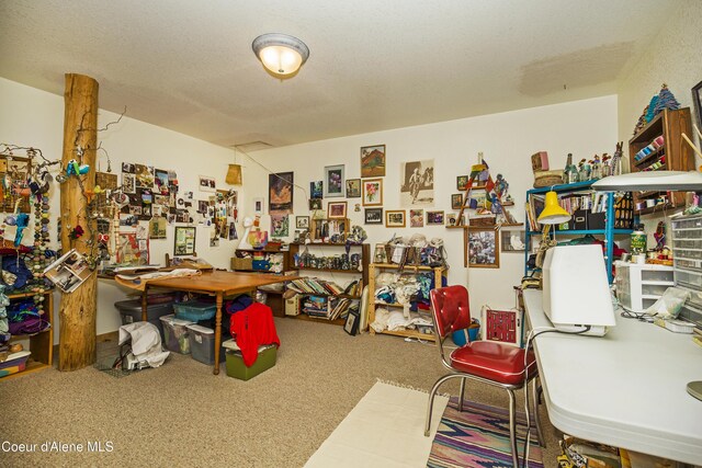 847 Willford Rd, Cocolalla, ID 83813 - misc room with carpet