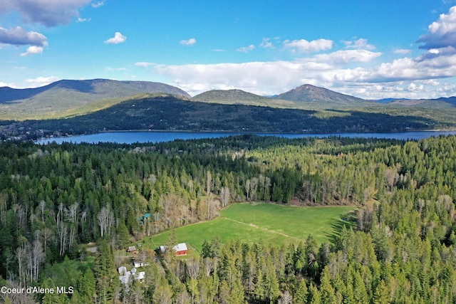 847 Willford Rd, Cocolalla, ID 83813 - view of mountain backdrop with a forest and a large body of water