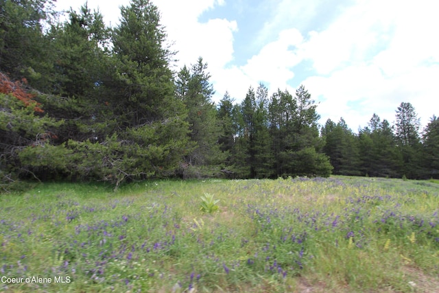 NKA Haughey Dr, Cocolalla, ID 83813