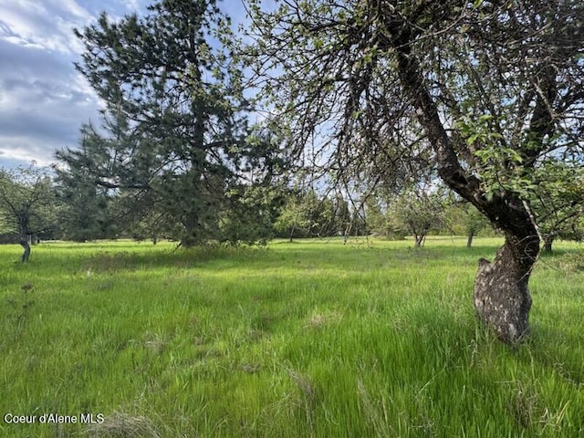 NKA Haughey Dr, Cocolalla, ID 83813