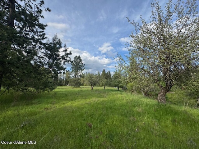 NKA Haughey Dr, Cocolalla, ID 83813