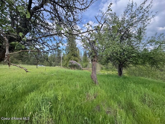 NKA Haughey Dr, Cocolalla, ID 83813