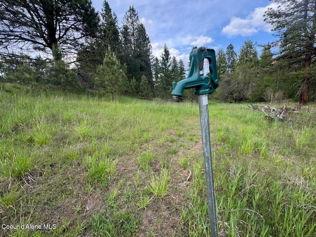 NKA Haughey Dr, Cocolalla, ID 83813