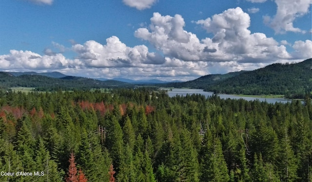 127 Lions Rd, Priest River, ID 83856