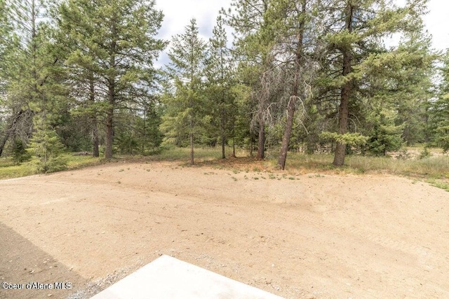81 Parkland Dr, Blanchard, ID 83804 - view of tree filled area