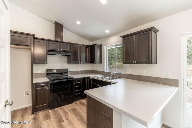 81 Parkland Dr, Blanchard, ID 83804 - kitchen featuring black electric range oven, a sink, under cabinet range hood, dark brown cabinets, and vaulted ceiling