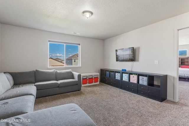 1749 N Minam Loop, Post Falls, ID 83854 - living room featuring carpet floors and a textured ceiling