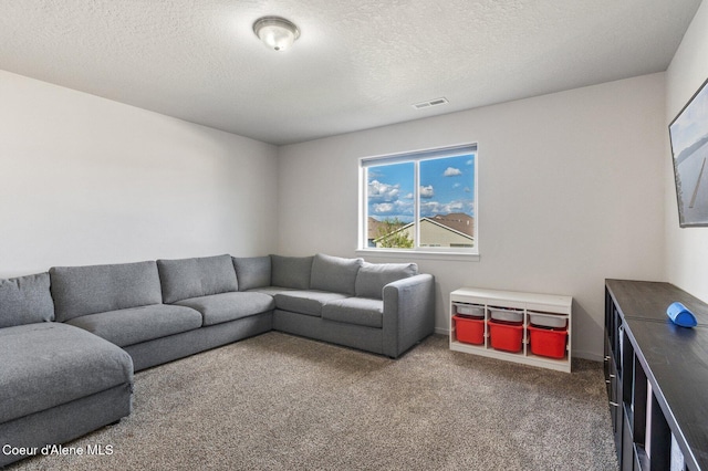 1749 N Minam Loop, Post Falls, ID 83854 - living area featuring carpet and a textured ceiling
