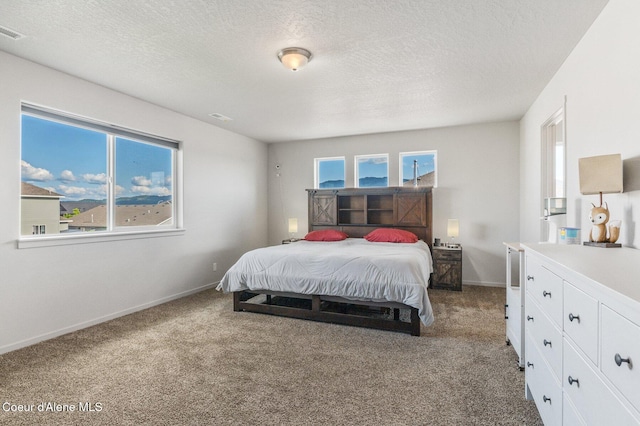 1749 N Minam Loop, Post Falls, ID 83854 - carpeted bedroom with multiple windows, a textured ceiling, and baseboards
