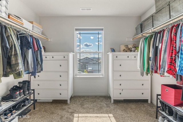 1749 N Minam Loop, Post Falls, ID 83854 - spacious closet featuring carpet flooring