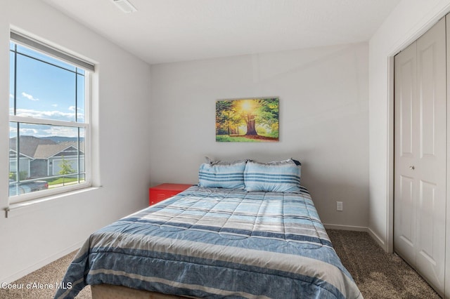 1749 N Minam Loop, Post Falls, ID 83854 - bedroom with carpet, a closet, and baseboards