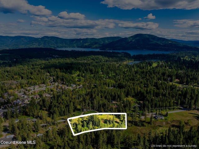 LOT3 Strahorn Rd, Hayden, ID 83835 - photo 2