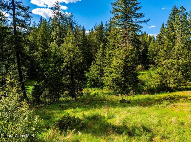 LOT3 Strahorn Rd, Hayden, ID 83835 - photo 6