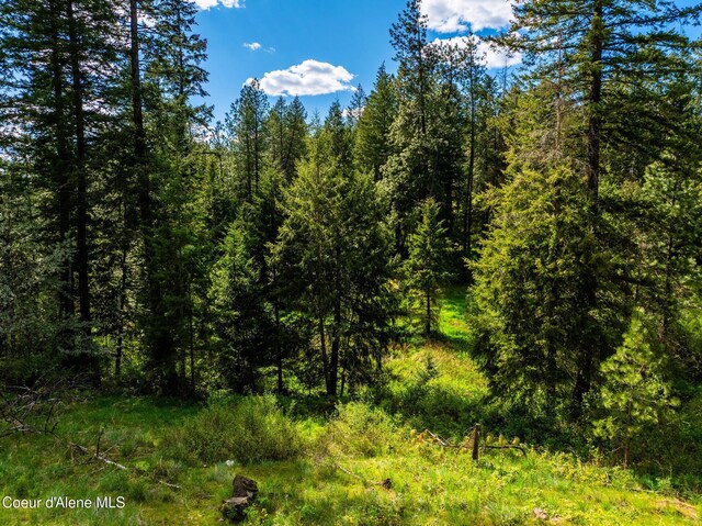 LOT3 Strahorn Rd, Hayden, ID 83835 - photo 13