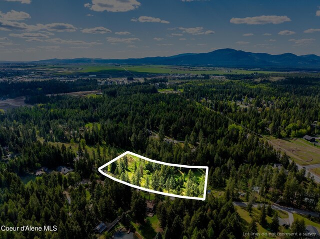 LOT3 Strahorn Rd, Hayden, ID 83835 - photo 15
