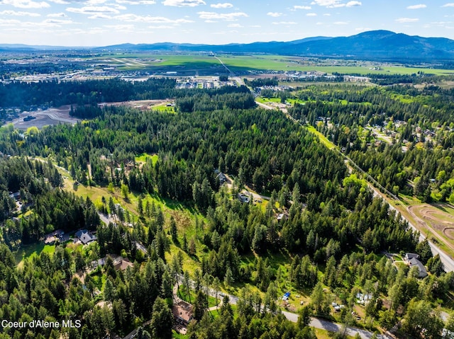 LOT3 Strahorn Rd, Hayden, ID 83835 - photo 16