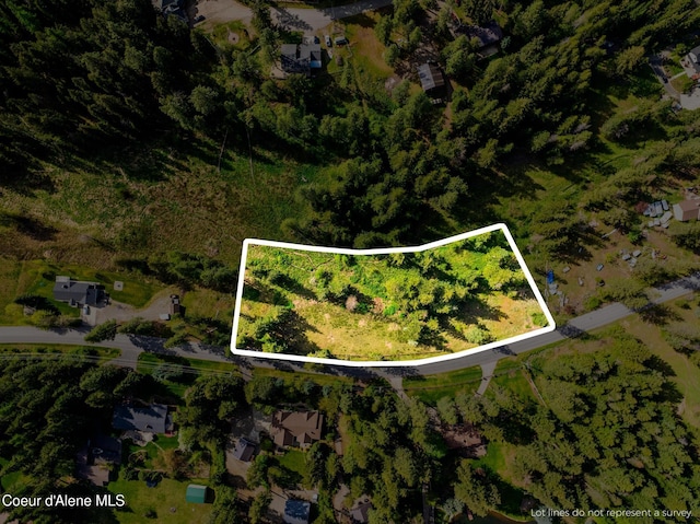 LOT3 Strahorn Rd, Hayden, ID 83835 - photo 18