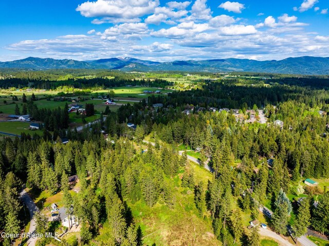 LOT3 Strahorn Rd, Hayden, ID 83835 - photo 23