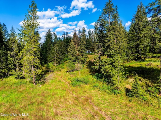 LOT3 Strahorn Rd, Hayden, ID 83835 - photo 7