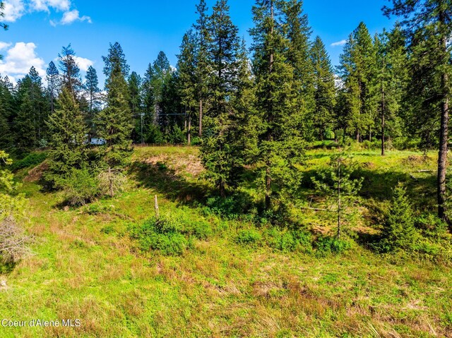 LOT3 Strahorn Rd, Hayden, ID 83835 - photo 12