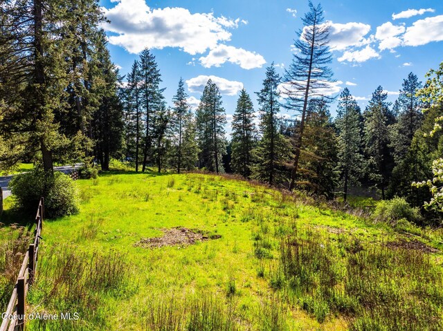 LOT3 Strahorn Rd, Hayden, ID 83835 - photo 4