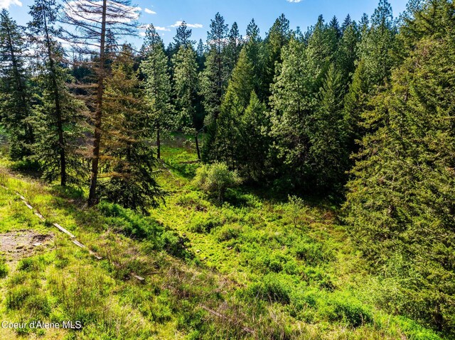 LOT3 Strahorn Rd, Hayden, ID 83835 - photo 10