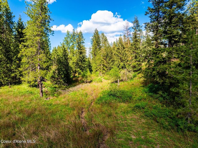 LOT3 Strahorn Rd, Hayden, ID 83835 - photo 11