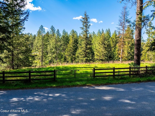 LOT3 Strahorn Rd, Hayden, ID 83835 - photo 1