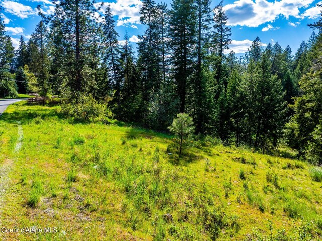 LOT3 Strahorn Rd, Hayden, ID 83835 - photo 22