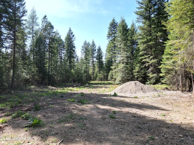 view of woods