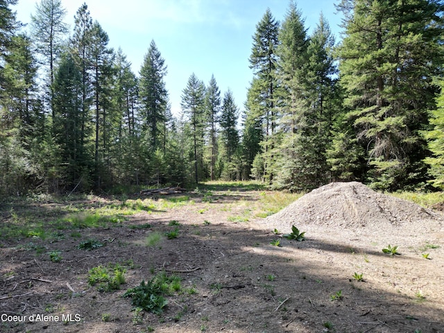 view of undeveloped land