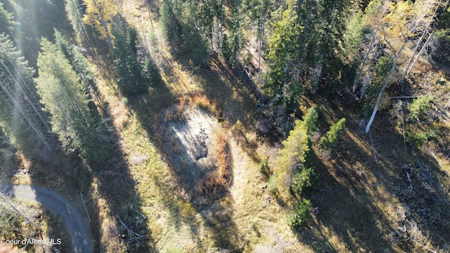 1428 W Elkhorn Meadows Rd, Fernwood, ID 83830 - view of property location