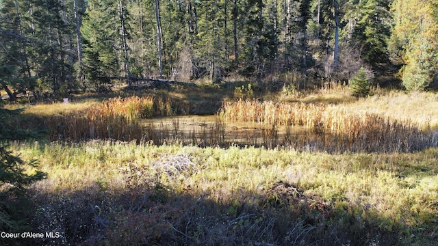 1428 W Elkhorn Meadows Rd, Fernwood, ID 83830 - view of woods