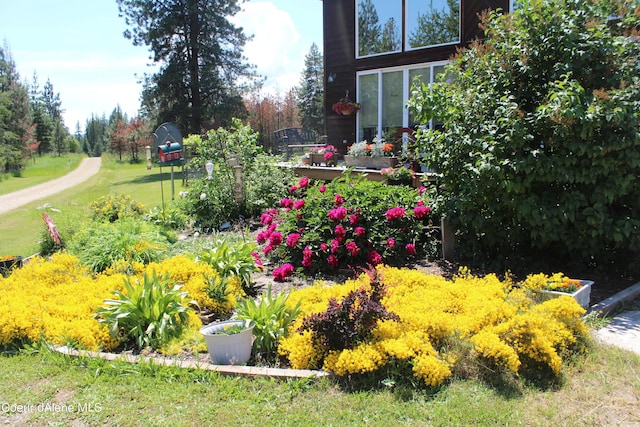 771 Peninsula Lp, Priest River, ID 83856 - photo 79