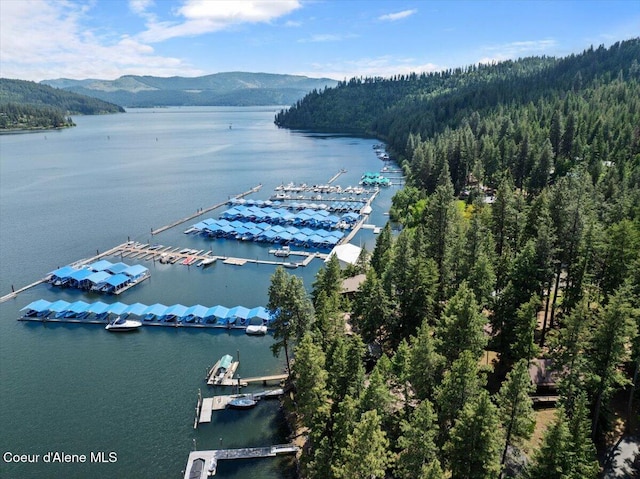 31 W Conkling Park Dr, Worley, ID 83876