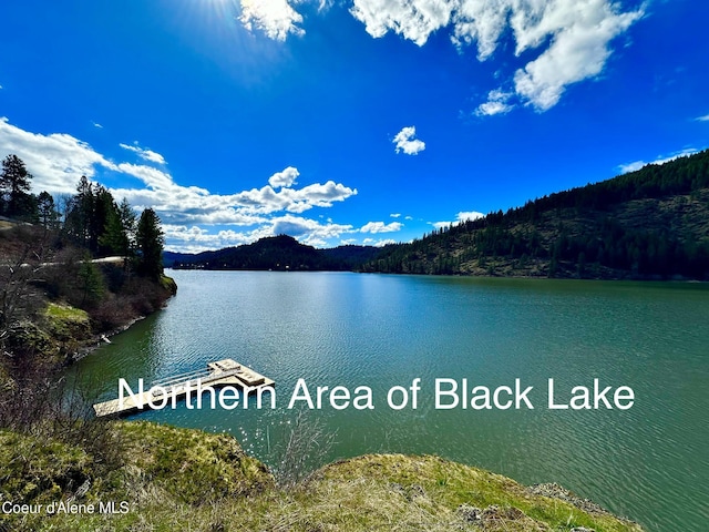 26312 S Anderson Drive Black Lake, Saint Maries, ID 83861 - water view with a mountain backdrop and a forest