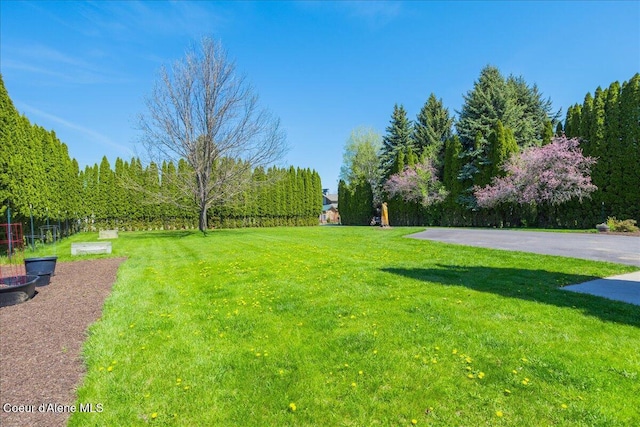 view of grassy yard