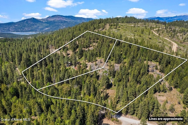 4057 Jewel Lake Rd, Sagle, ID 83860 - photo 41