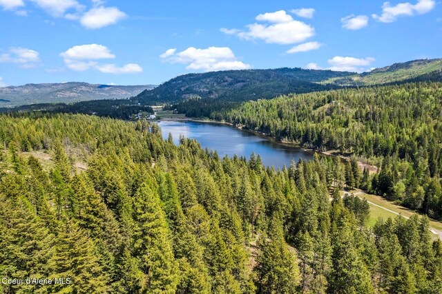 4057 Jewel Lake Rd, Sagle, ID 83860 - photo 47