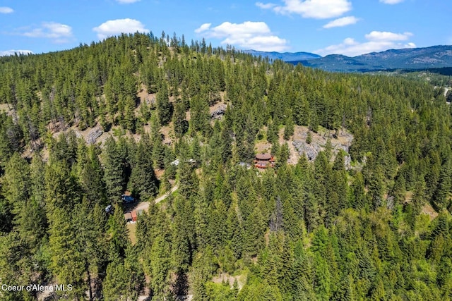 4057 Jewel Lake Rd, Sagle, ID 83860 - photo 48