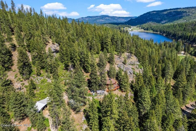 4057 Jewel Lake Rd, Sagle, ID 83860 - photo 49