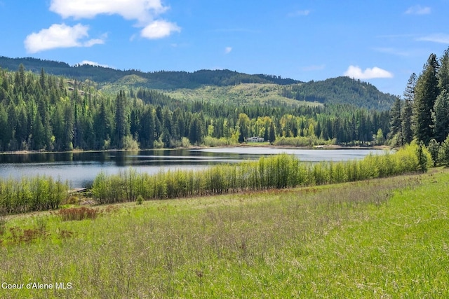 4057 Jewel Lake Rd, Sagle, ID 83860 - photo 52
