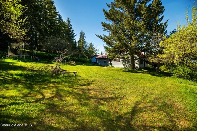 50 Smokehouse Rd, Sagle, ID 83860 - view of green lawn