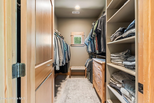 679 Comeback Bay Ln, Sagle, ID 83860 - view of spacious closet