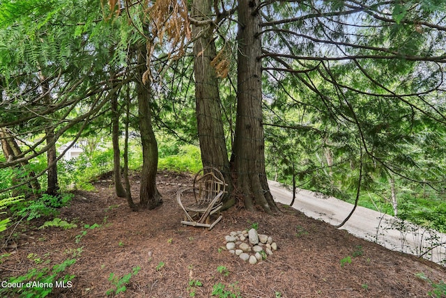 679 Comeback Bay Ln, Sagle, ID 83860 - view of nature
