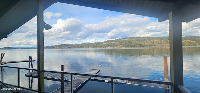 dock area featuring a water view and a view of trees